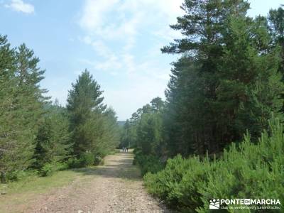 Valle del Lozoya - Camino de la Angostura;grupo de montaña rutas en cercedilla